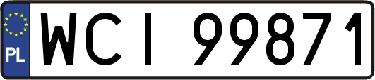 WCI99871