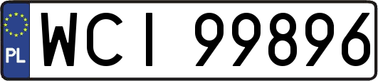 WCI99896