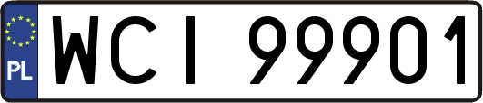 WCI99901