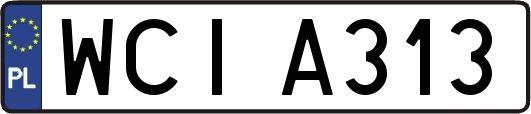 WCIA313