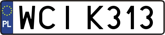 WCIK313