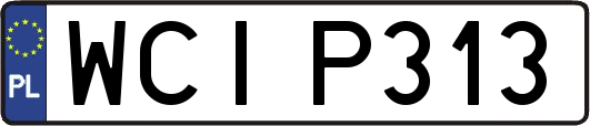 WCIP313