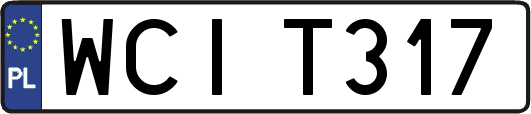 WCIT317