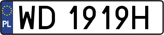 WD1919H