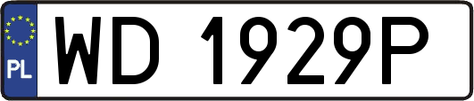 WD1929P