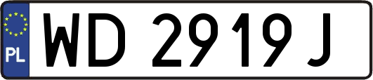 WD2919J