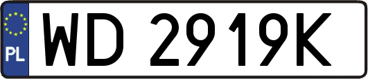 WD2919K