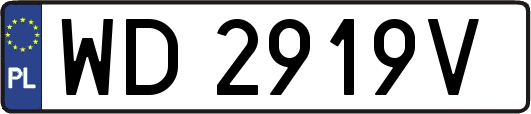 WD2919V