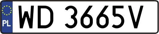 WD3665V