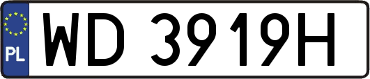 WD3919H