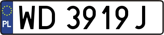 WD3919J