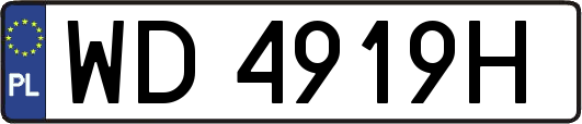 WD4919H