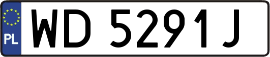WD5291J