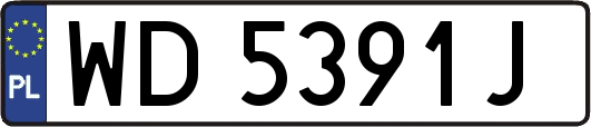 WD5391J
