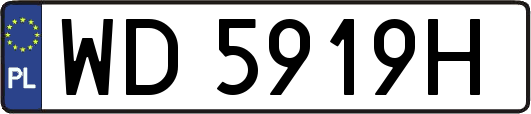 WD5919H