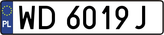 WD6019J