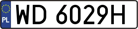 WD6029H