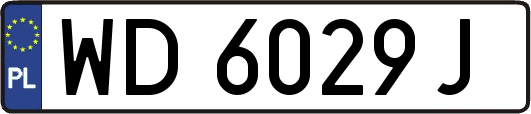 WD6029J
