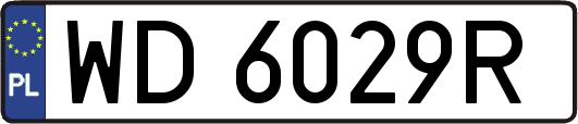 WD6029R