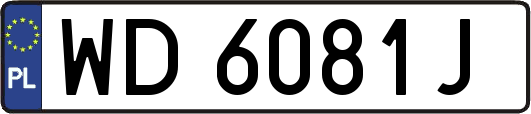 WD6081J