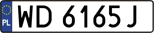 WD6165J