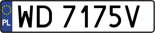 WD7175V