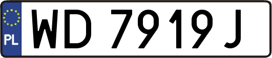 WD7919J