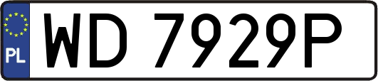 WD7929P