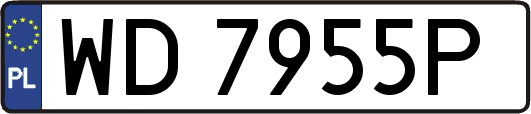 WD7955P