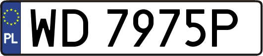WD7975P