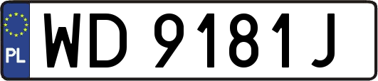 WD9181J