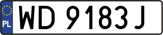 WD9183J