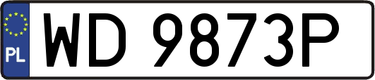 WD9873P