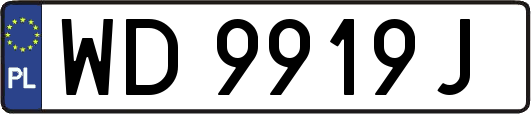 WD9919J