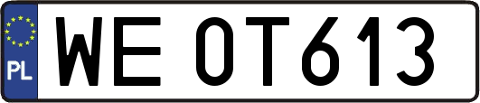 WE0T613