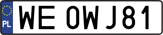 WE0WJ81