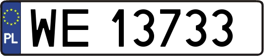 WE13733