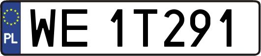 WE1T291