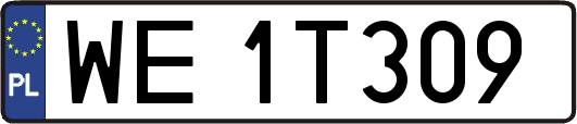 WE1T309