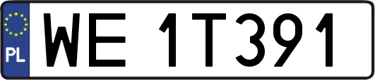 WE1T391