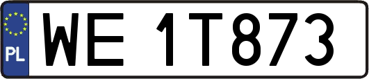WE1T873