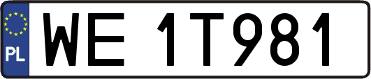 WE1T981