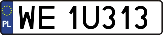 WE1U313