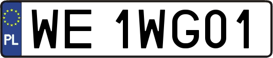 WE1WG01