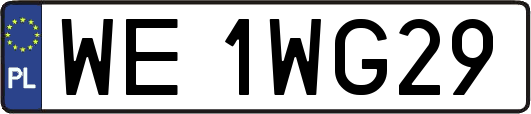 WE1WG29