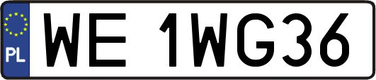 WE1WG36