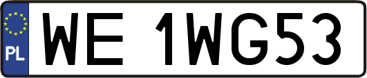 WE1WG53
