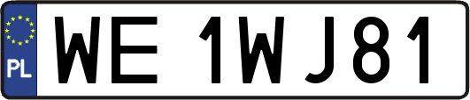 WE1WJ81