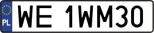 WE1WM30