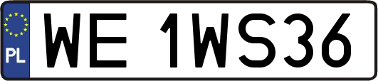 WE1WS36
